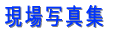 ����ʐ^�W 