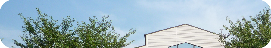 �W��̃|�[�`�����J