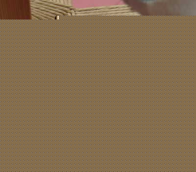 gɊ|@ċl߂܂